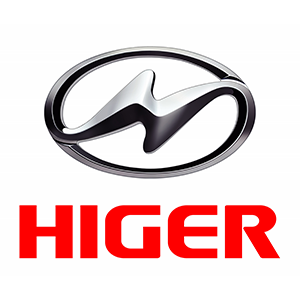 Logo HIGER